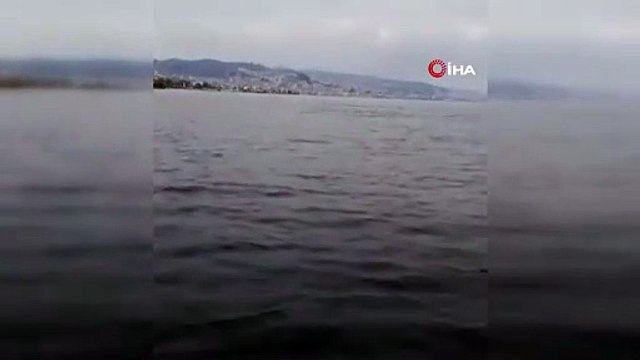 Mudanya sahilinde yunuslarla unutulmaz karşılaşma