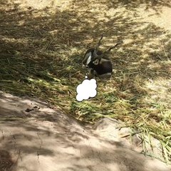 "Humans overthink everything" 😂😂😂