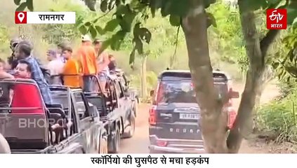 फाटो पर्यटन जोन में संदिग्ध स्कॉर्पियो की घुसपैठ, मचा हड़कंप, वन विभाग ने पुलिस को दी तहरीर