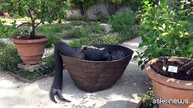 Alla Galleria Borghese i Poemi della terra nera di Wangechi Mutu