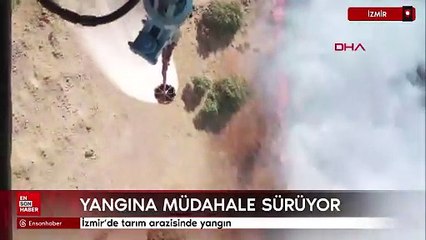 İzmir'de tarım arazisinde yangın