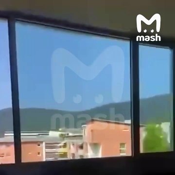 هجوم دموي داخل مدرسة في النمسا.. 11 قتيلاً ومقتل المنفذ