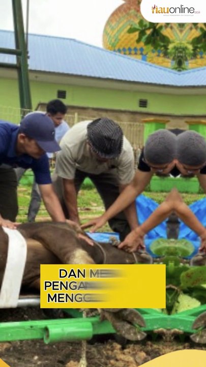 RAPP Bagikan 10.057 Kantong Daging dari 151 Hewan Kurban