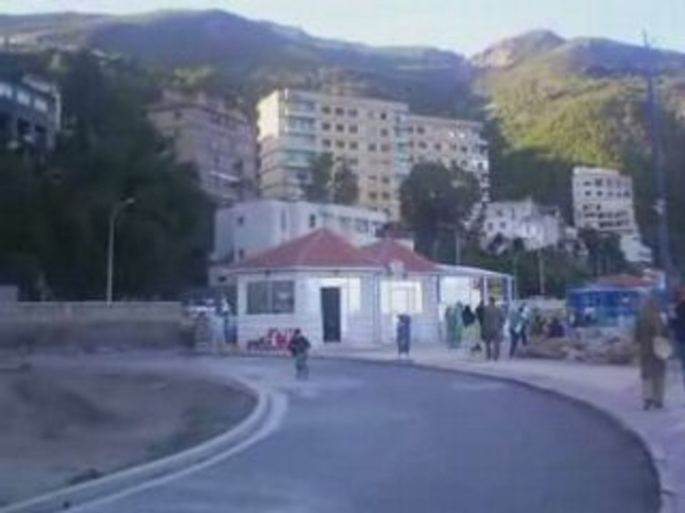Bled 2008