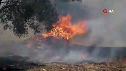 Edremit’te Zeytinlik Alanda Yangın Alarmı! Rüzgar Müdahaleyi Zorlaştırıyor