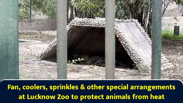Fan, coolers, sprinkles & other special arrangements at Lucknow Zoo to protect animals from heat