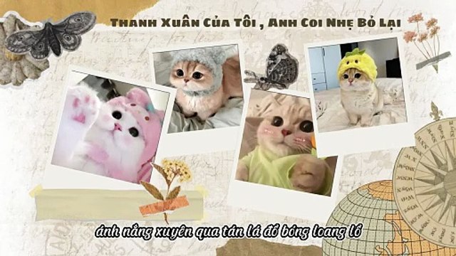 Truyện Audio || Thanh Xuân Của Tôi , Anh Coi Nhẹ Bỏ Lại || Thiên Thần Dắt Truyện