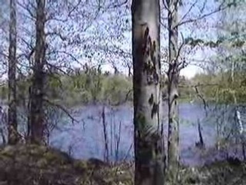 Club de marche st bruno 11 mai 2008