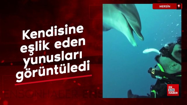 Mersin açıklarında dalış yapan dalgıç, kendisine eşlik eden yunusları görüntüledi