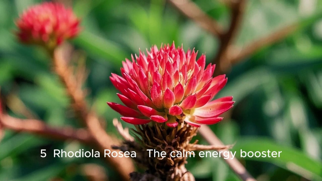 💬 Tu te sens souvent stressé(e), à bout de nerfs, ou avec cette boule au ventre qui ne te quitte pas ? Tu n’es pas seul(e).
