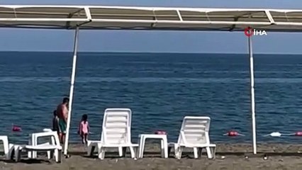 Mersin kıyılarında köpek balığı paniği