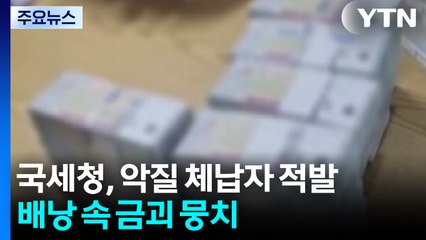 배낭 속 금괴·쓰레기 위장 수표다발...악질 체납자 710명 추적 조사 / YTN