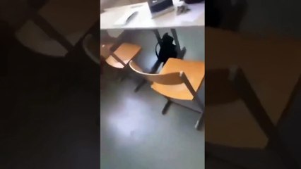 Al menos nueve muertos en tiroteo escolar en Austria