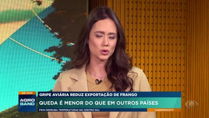 Brasil tem menor queda na exportação de frango pela gripe aviária