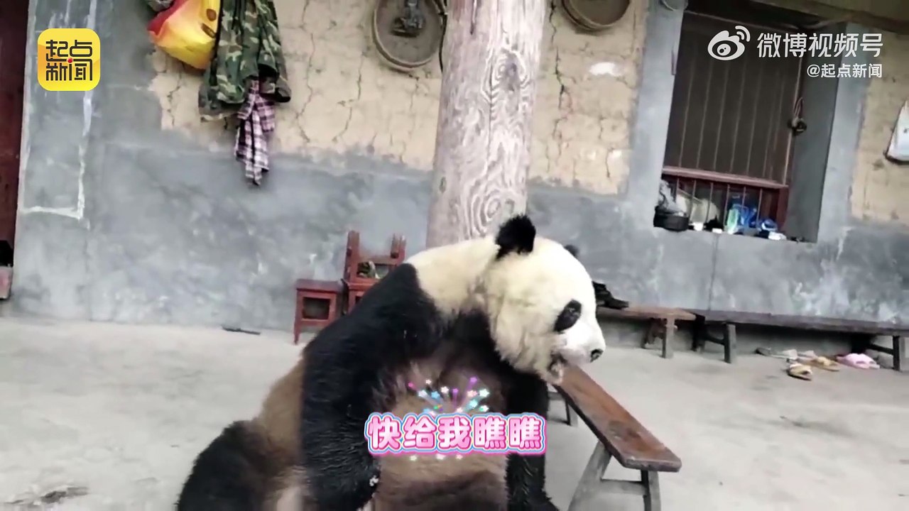 起点新闻的微博视频 - @起点新闻 的视频 - 视频 - 微博