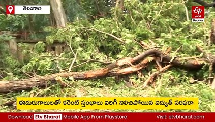 తెలంగాణ ప్రజలకు గుడ్​న్యూస్ - రానున్న మూడు రోజులు భారీ వర్షాలు!