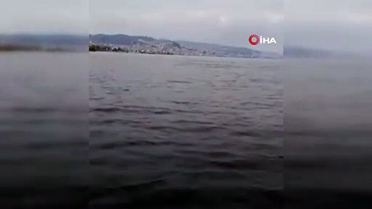 Marmara’da neşeli sürpriz! Unutulmaz anlar yaşandı