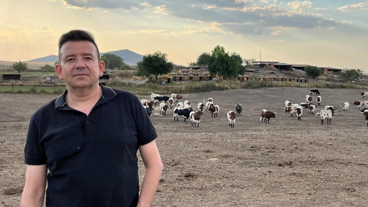 Gustavo Aranda en su explotación de bueyes en Pulgar (Toledo).