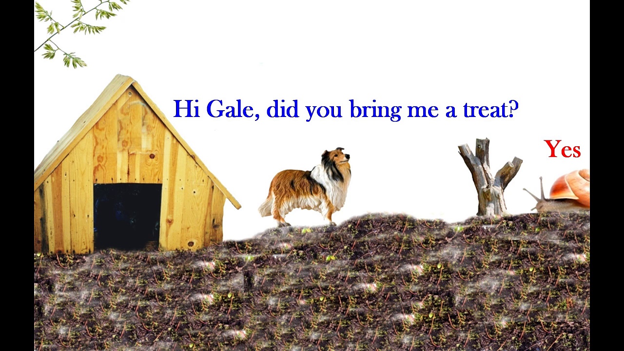 Childrens Educational and Entertainment