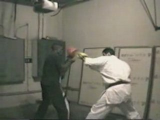 Shadowboxing 1, karate ,kudo