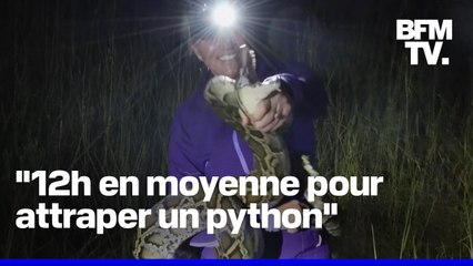 En Floride, cette chasseuse professionnelle de serpents traque une espèce invasive de pythons