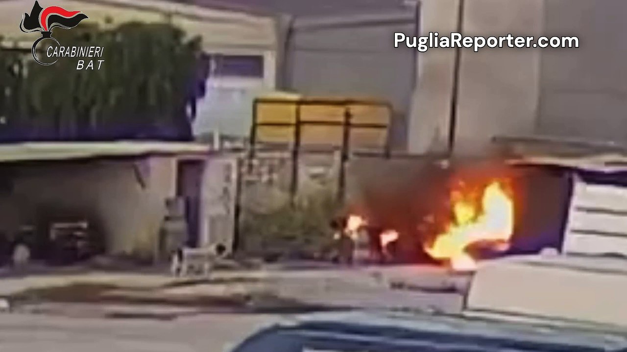 Bisceglie: lui muore nell'incendio. Il cane resta in attesa, invano, del ritorno del suo amico umano