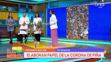 ESTUDIANTES DE BIOQUÍMICA Y FARMACIA CREARON "ECO PAPEL PIÑA"