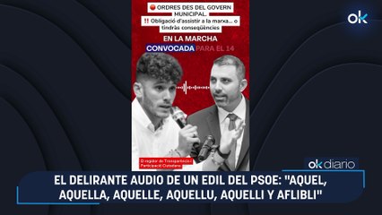 El delirante audio de un edil del PSOE: "Aquel, aquella, aquelle, aquellu, aquelli y aflibli"