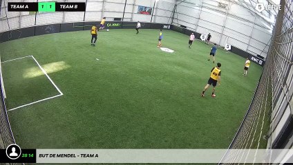 But de Mendel - Team A