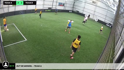 But de Mendel - Team A