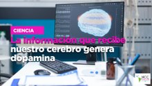 La información que recibe nuestro cerebro genera dopamina