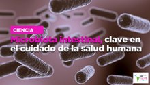 Microbiota intestinal, clave en el cuidado de la salud humana