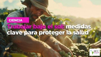 Trabajar bajo el sol: medidas clave para proteger la salud
