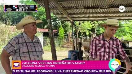 ¿Cómo le fue a Genz ordeñando vacas?