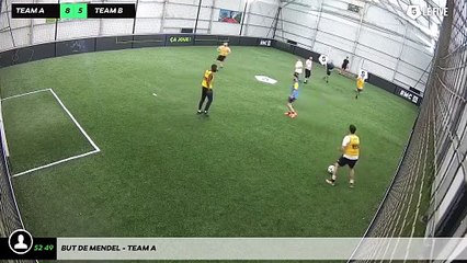 But de Mendel - Team A