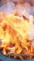 Her parents died, her sister wed the killer—she mastered medicine to take revenge - Chinese  2025