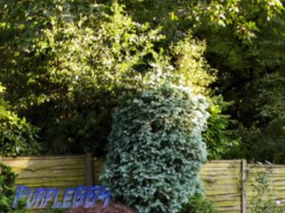 The Wonder Pets Save The What ❔ Ending Theme