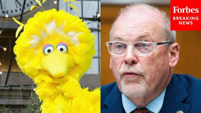 'Big Bird Might Make More Money Being Set Free': Morgan Griffith Defends PBS Cuts In Rescissions'Big Bird Might Make More Money Being Set Free': Morgan Griffith Defends PBS Cuts In Rescissions