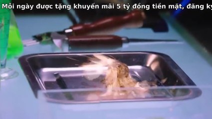 Tập 31 - Thợ Săn Ma Túy (Lồng tiếng)_DV Diêu Địch, Trịnh Nhã Văn, Nhậm Trọng