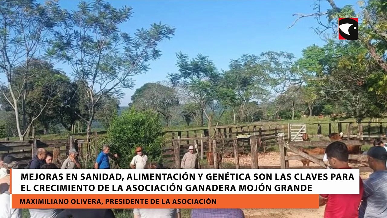 Mejoras en sanidad, alimentación y genética son las claves para el crecimiento de la Asociación Ganadera Mojón Grande