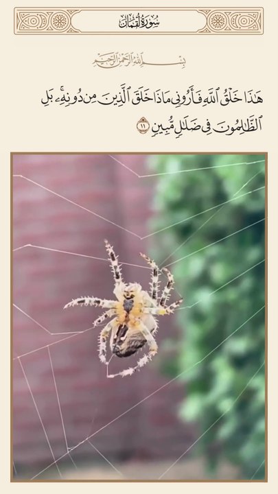 هَٰذَا خَلْقُ اللَّهِ 1