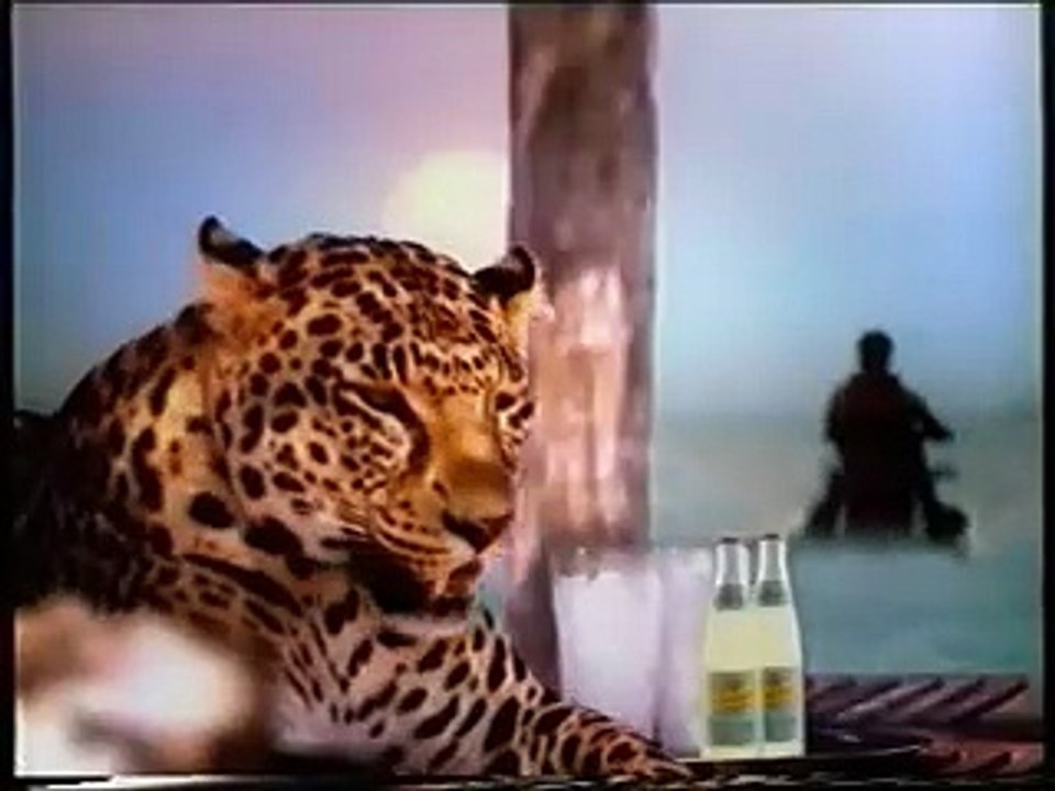 Nova TV kolovoz 2004. - Reklame i najave