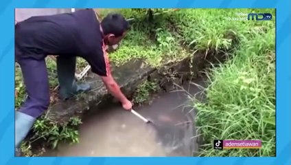 Tawa Tawa Santai EP9