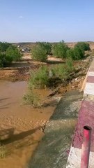 اليزي: موسم اصطياد سمك البلطي في براشمة طارات على بعد حوالي 60 كيلومتر عن مدينة ايليزي