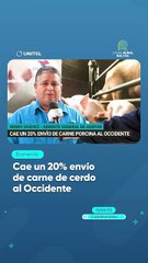 Cae un 20% envío de carne de cerdo al Occidente