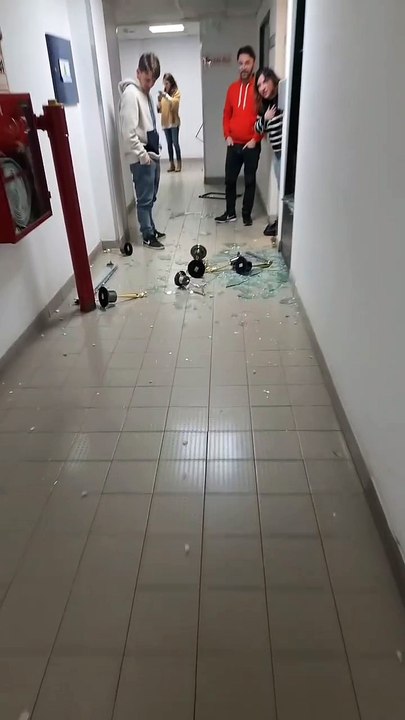 Los destrozos al interior de TN