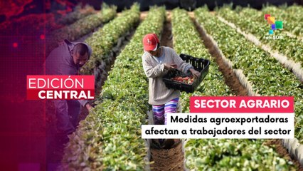 Sectores agrarios rechazan la otorgación de beneficios tributarios a agroexportadoras