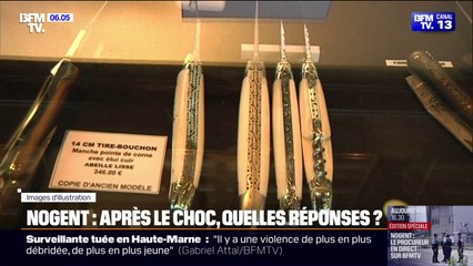 Nogent: ce que l'on sait du profil du collégien qui a mortellement poignardé une surveillante