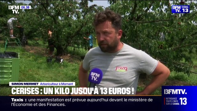 À plus de 10 euros le kilo, pourquoi le prix des cerises reste aussi élevé?