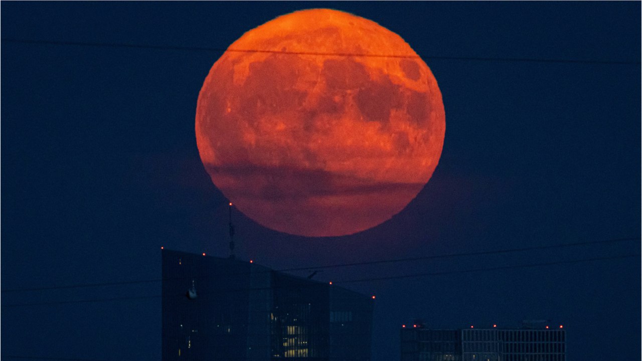 Mondspektakel am Mittwoch: Was es mit dem Erdbeermond auf sich hat